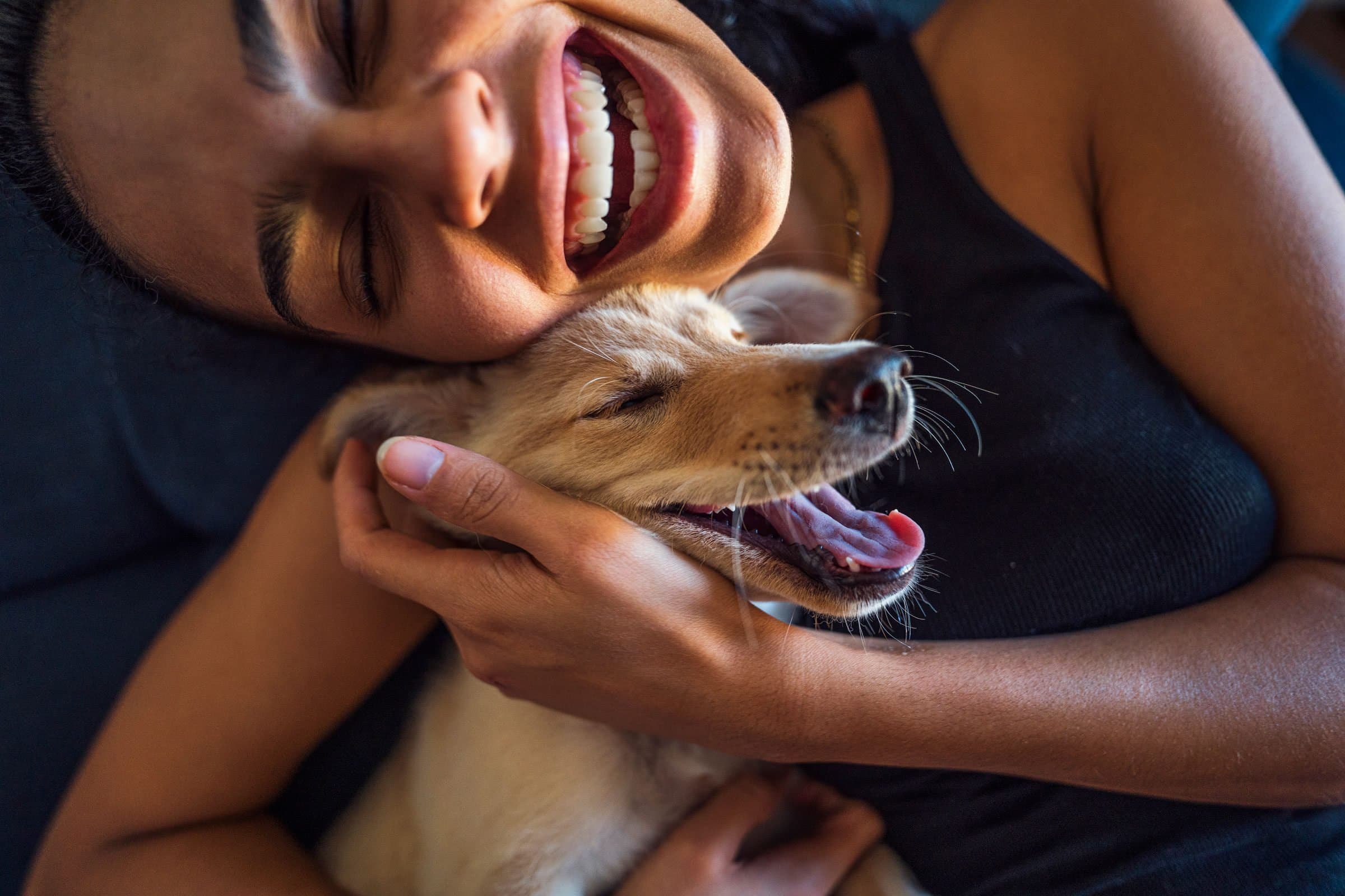 RUN & CUDDLES HYD | Slide 2